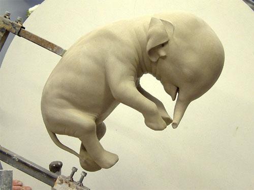 Ученые проследили  процесс эволюции эмбриона