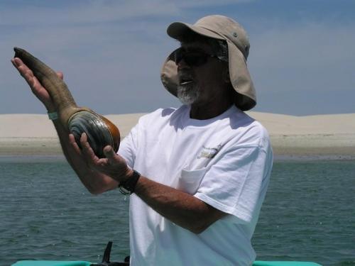 15 животных, которые старше, чем ваши бабушка и дедушка