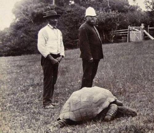 15 животных, которые старше, чем ваши бабушка и дедушка