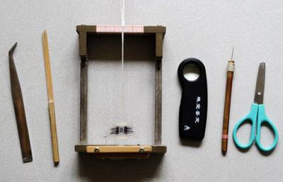 Китайский мастер рисует портреты из … волос