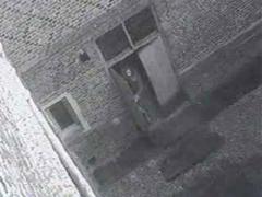 Призрак замка Хэмптон-корт засняла камера наблюдения