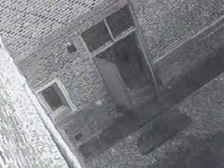 Призрак замка Хэмптон-корт засняла камера наблюдения