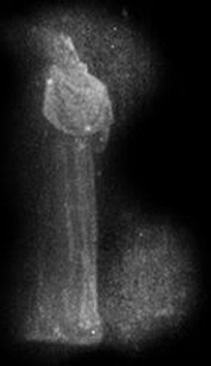 Призрак замка Хэмптон-корт засняла камера наблюдения