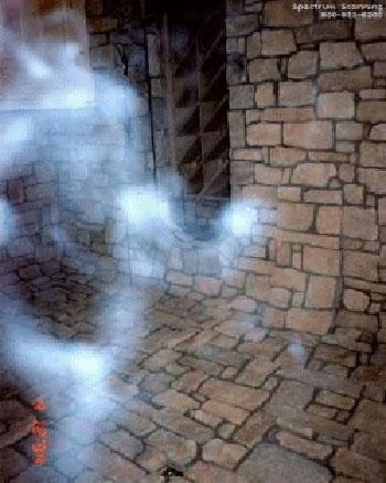 Призрак замка Хэмптон-корт засняла камера наблюдения