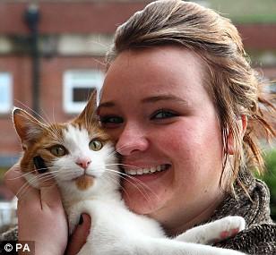 В Британии появился спайдер-кот