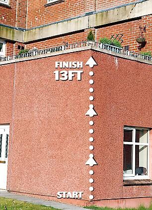 В Британии появился спайдер-кот