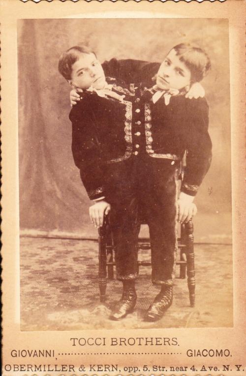    ,   ,   1891-    ,    .  1897- ,   ,        ,          .       .
