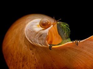 Лучшее с конкурса Agora Awards