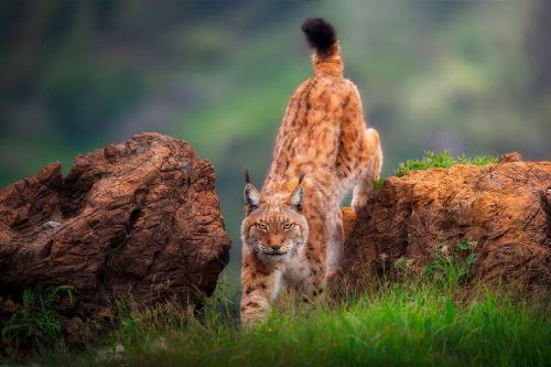 Лучшее с конкурса Agora Awards