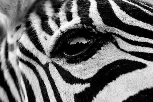 Лучшее с конкурса Agora Awards