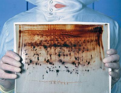 Топ-12 самых дорогих проектов современной науки