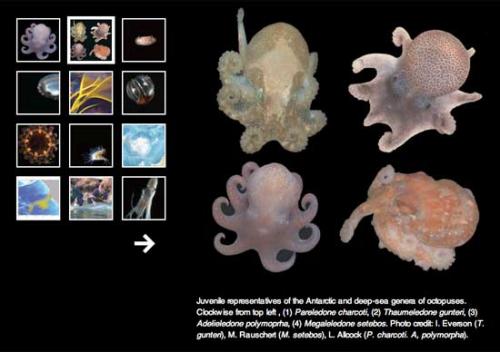 Топ-12 самых дорогих проектов современной науки