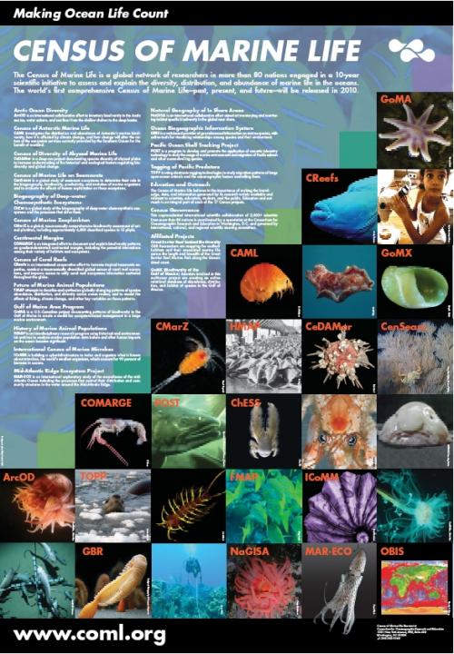 Топ-12 самых дорогих проектов современной науки