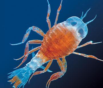 Топ-12 самых дорогих проектов современной науки