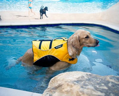 Роскошный отель «Barkley» для животных