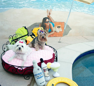 Роскошный отель «Barkley» для животных