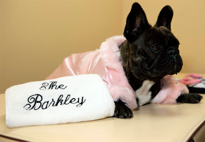 Роскошный отель «Barkley» для животных