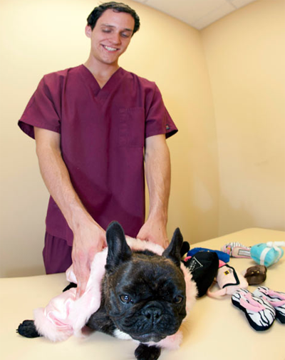 Роскошный отель «Barkley» для животных