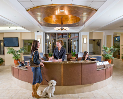 Роскошный отель «Barkley» для животных