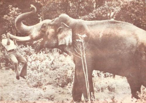 Смертельный трюк: каскадеры, погибшие во время съемок