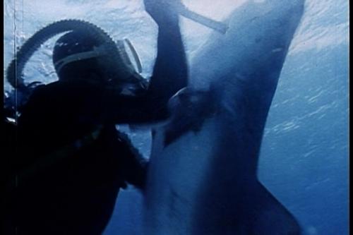 Смертельный трюк: каскадеры, погибшие во время съемок