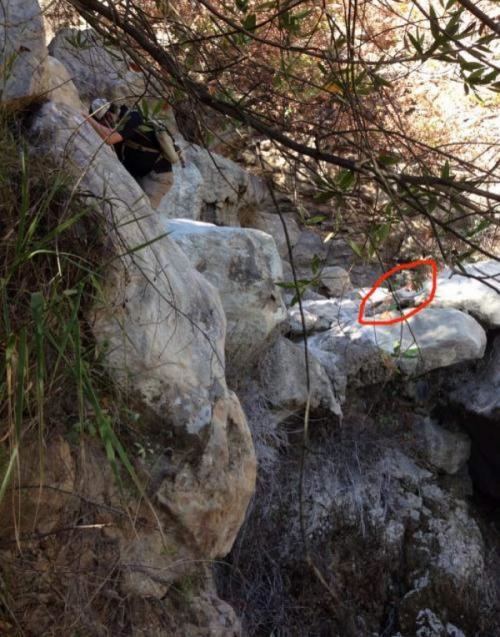 Реальные фотографии с жуткой историей за кадром