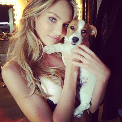 Последние фотографии звезд из Твиттеров