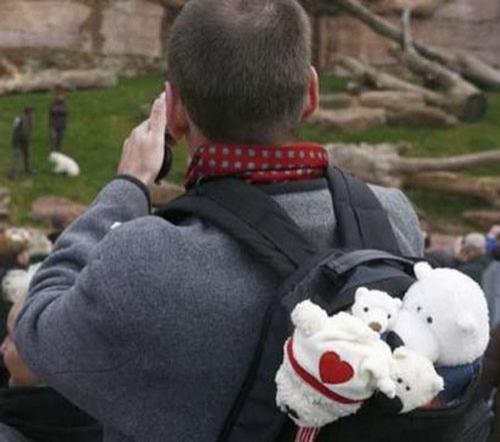 Флоке — новая звезда Германии — затмила по популярности медвежонка Кнута