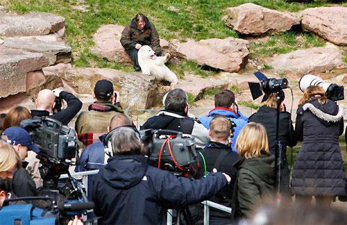 Флоке — новая звезда Германии — затмила по популярности медвежонка Кнута