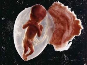 Топ-12 нереальных фотографий