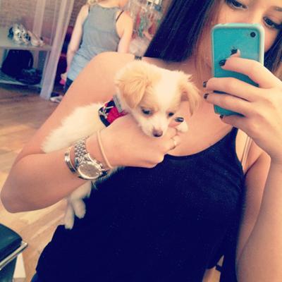 Последние фотографии звезд из Твиттеров