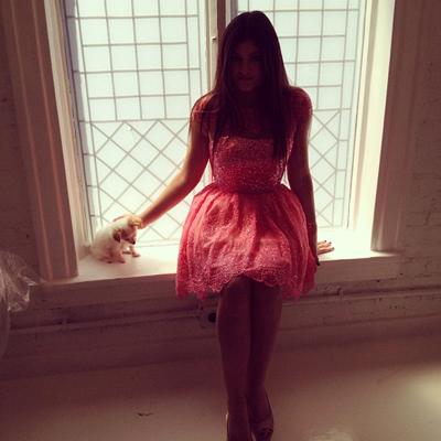 Последние фотографии звезд из Твиттеров