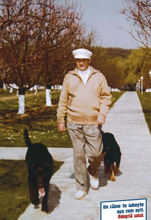 Диктаторы в рекламе: креатив на продажу