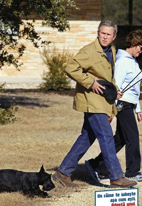 Диктаторы в рекламе: креатив на продажу