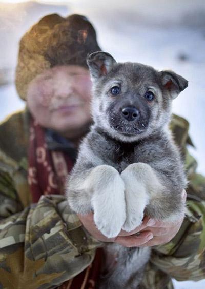 Село Оймякон – самый холодный населенный пункт в мире