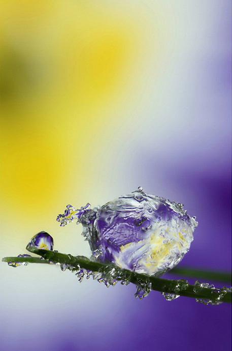 Зимний макромир: снежинки и иней