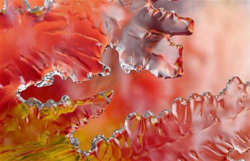 Зимний макромир: снежинки и иней