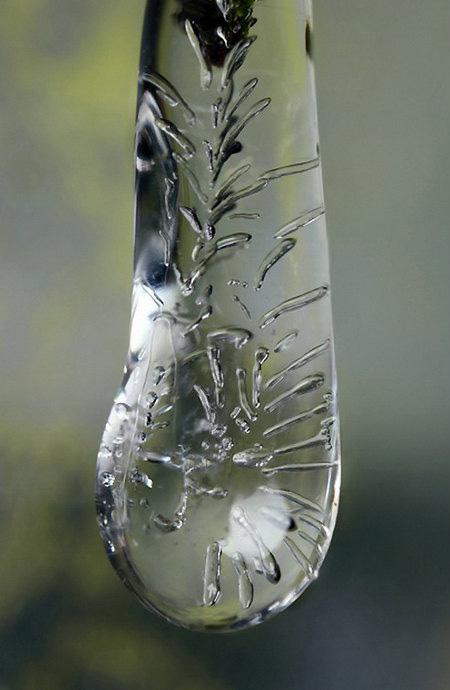 Зимний макромир: снежинки и иней