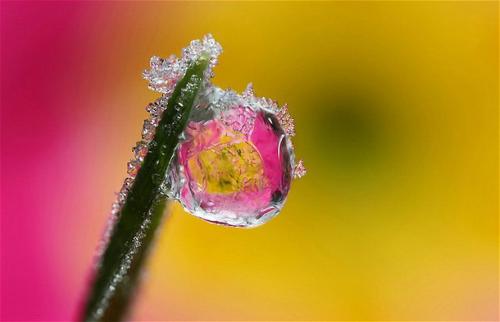 Зимний макромир: снежинки и иней