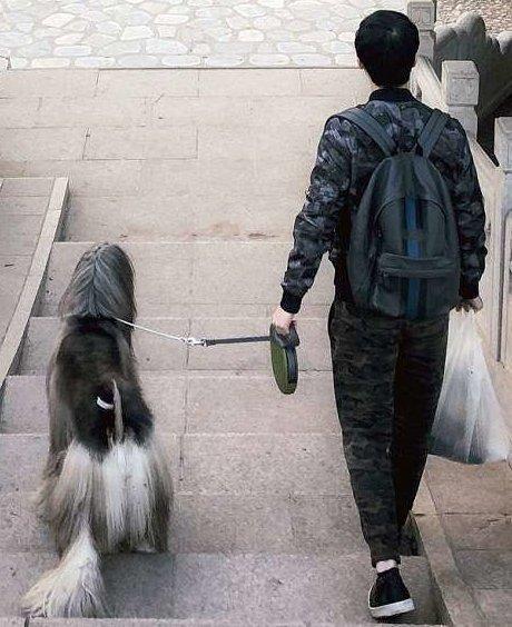 Китаец тратит  в месяц на уход за шерстью своей собаки