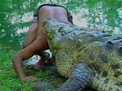 Сентиментальный крокодил срывает апплодисменты