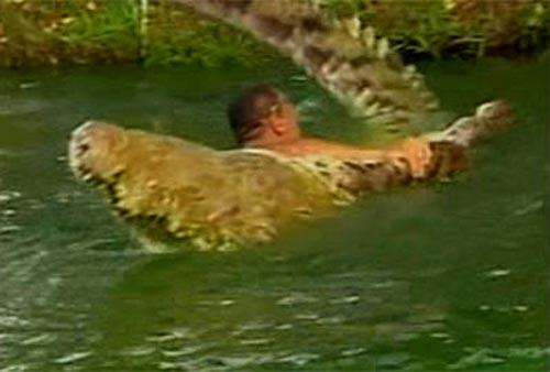 Сентиментальный крокодил срывает апплодисменты