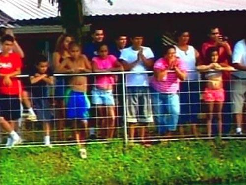 Сентиментальный крокодил срывает апплодисменты