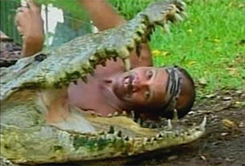 Сентиментальный крокодил срывает апплодисменты