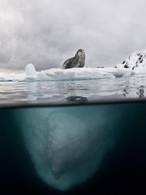 Лучшие краски подводного мира