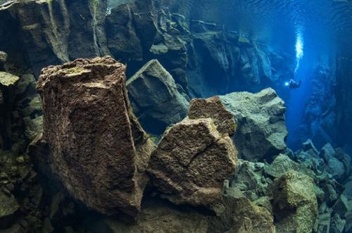 Лучшие краски подводного мира