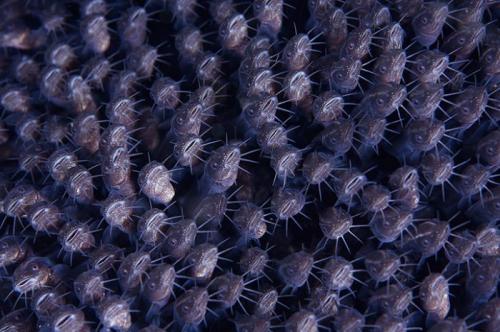 Лучшие краски подводного мира