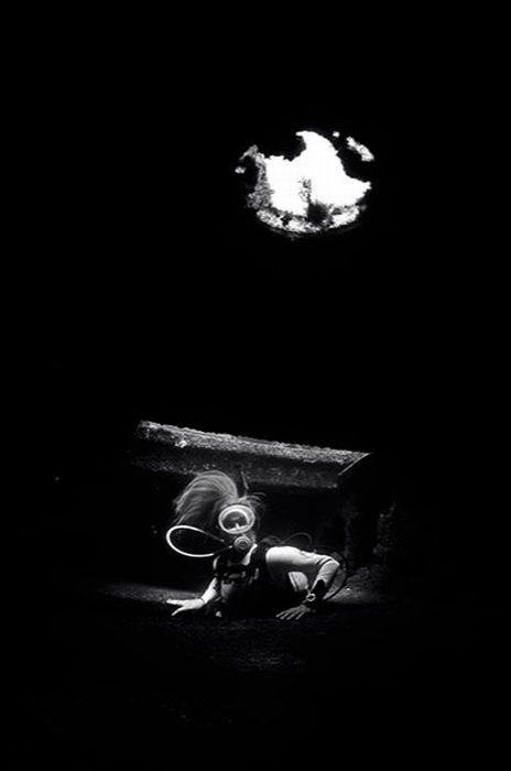 Лучшие краски подводного мира