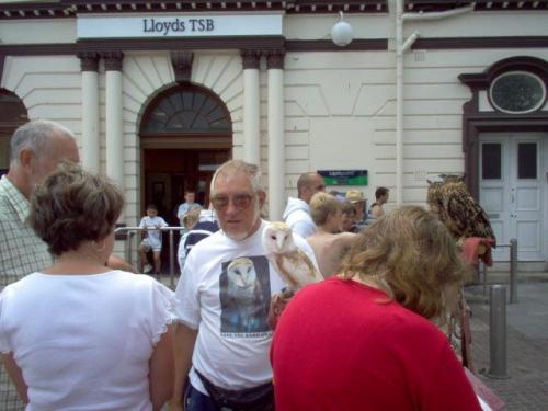 Британская сова освоила скейтборд