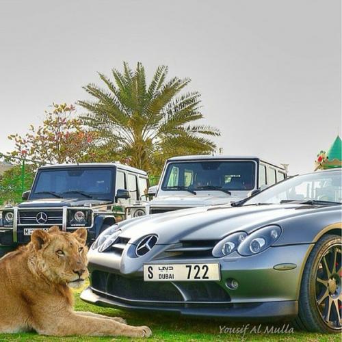 Русская на золотом Bentley и другие "мажоры" нашего времени